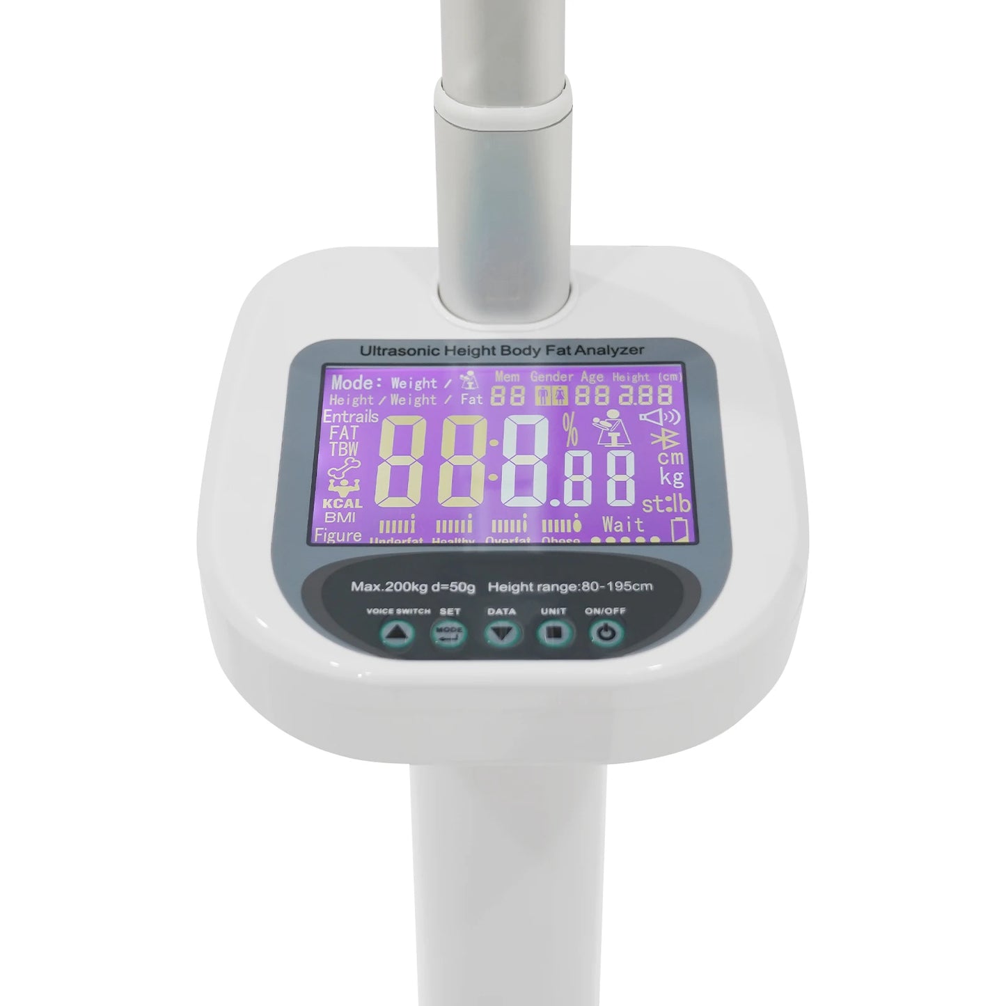 Body Weight Scale with Ultrasonic Technology and LCD Display - Cheerful Home Finds