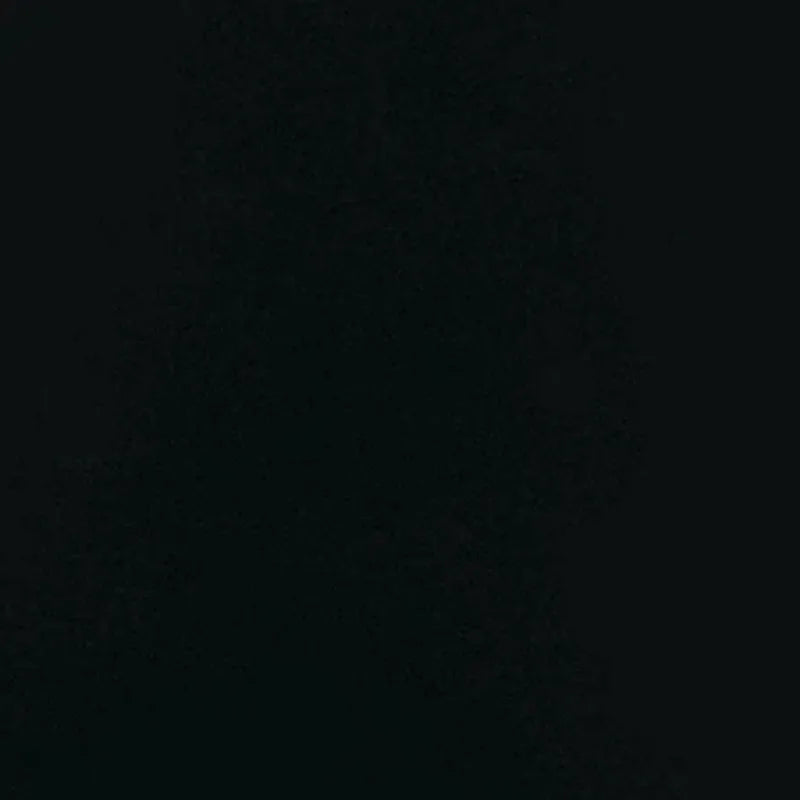 Nonstick Family Pan Jumbo Cooker with Lid 14 Inch Aluminum - Cheerful Home Finds