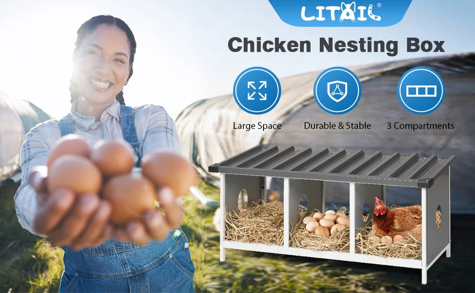 3 Compartments Nesting Box for Hens Metal Egg Laying Nest - Cheerful Home Finds
