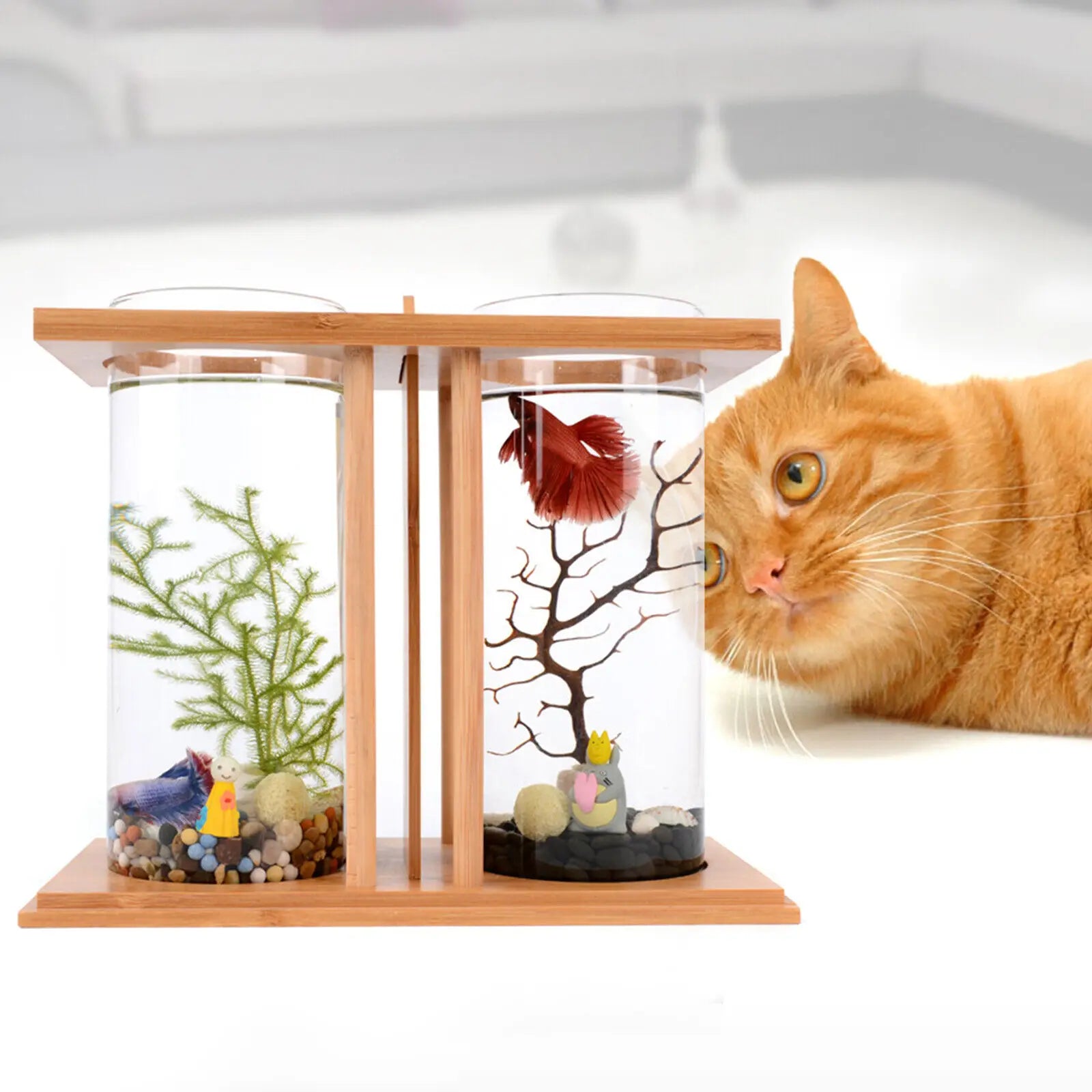 Glass Betta Fish Tank Bamboo Base Mini Aquarium For Desktop - Cheerful Home Finds