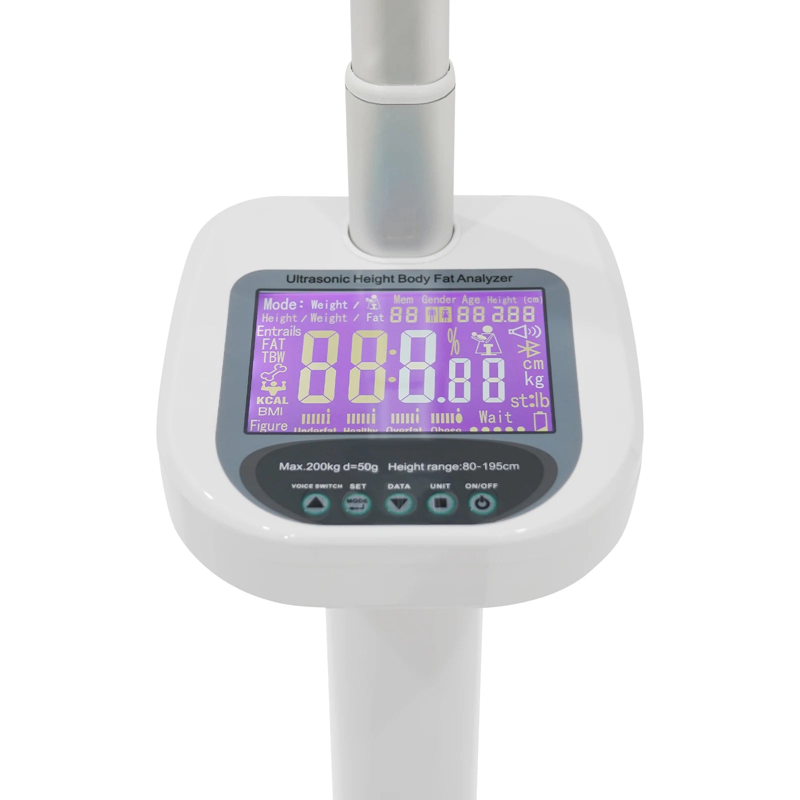 Body Weight Scale with Ultrasonic Technology and LCD Display - Cheerful Home Finds