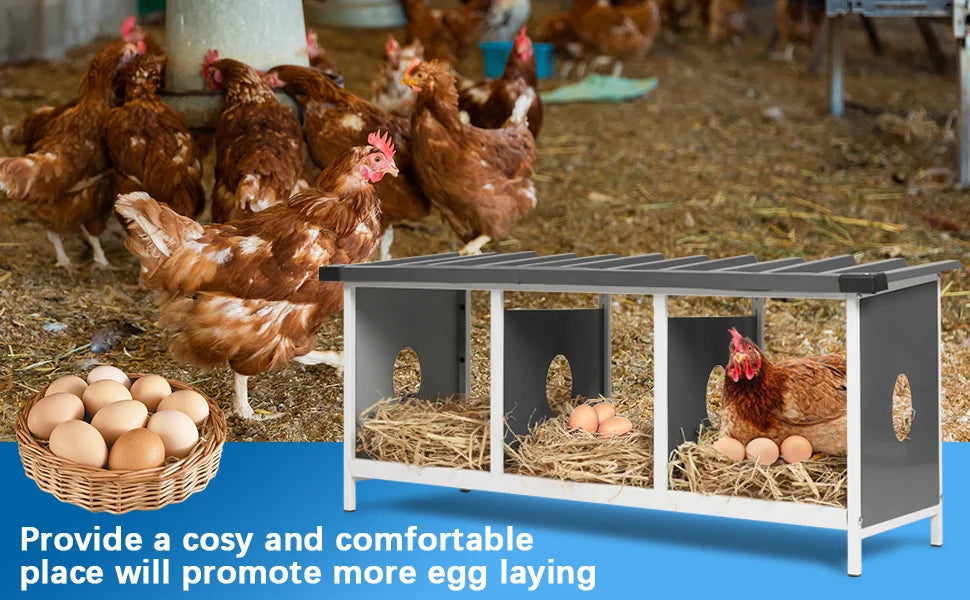 3 Compartments Nesting Box for Hens Metal Egg Laying Nest - Cheerful Home Finds