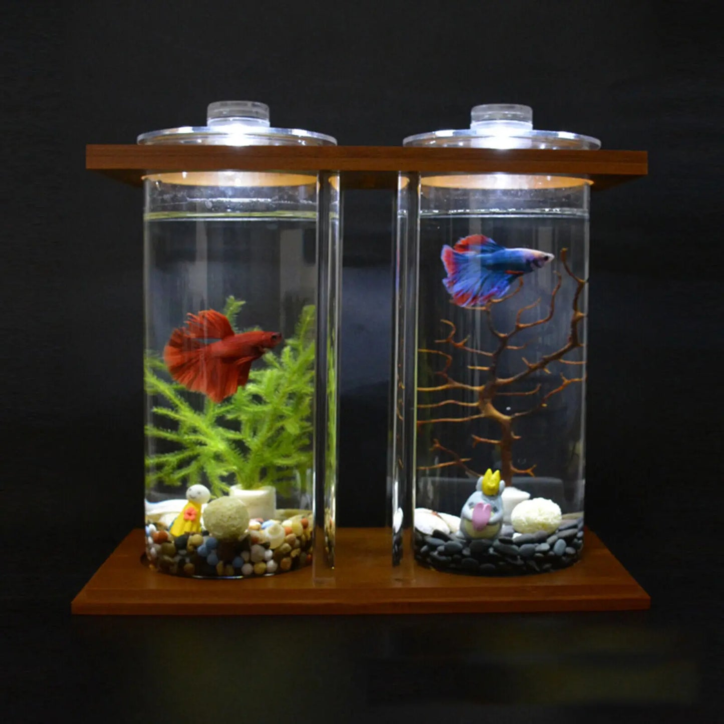 Glass Betta Fish Tank Bamboo Base Mini Aquarium For Desktop - Cheerful Home Finds
