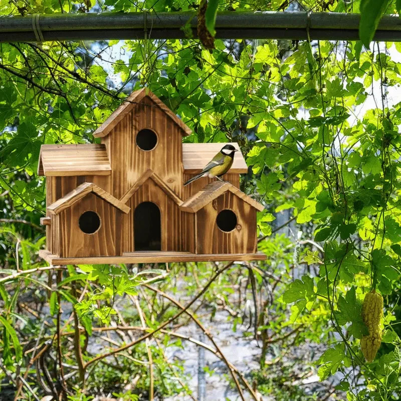 Outdoor Bird House, Small House Style, Natural Wood Hummingbird - Cheerful Home Finds