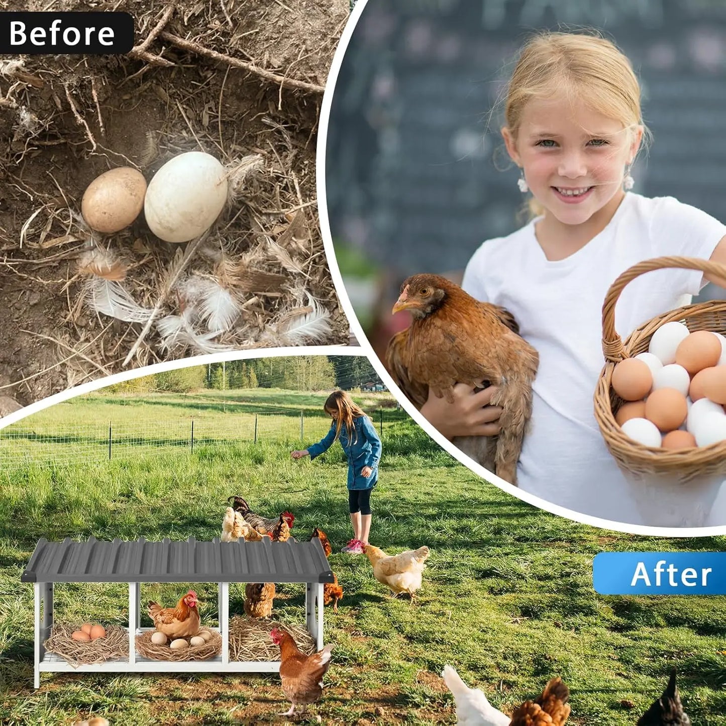 3 Compartments Nesting Box for Hens Metal Egg Laying Nest - Cheerful Home Finds